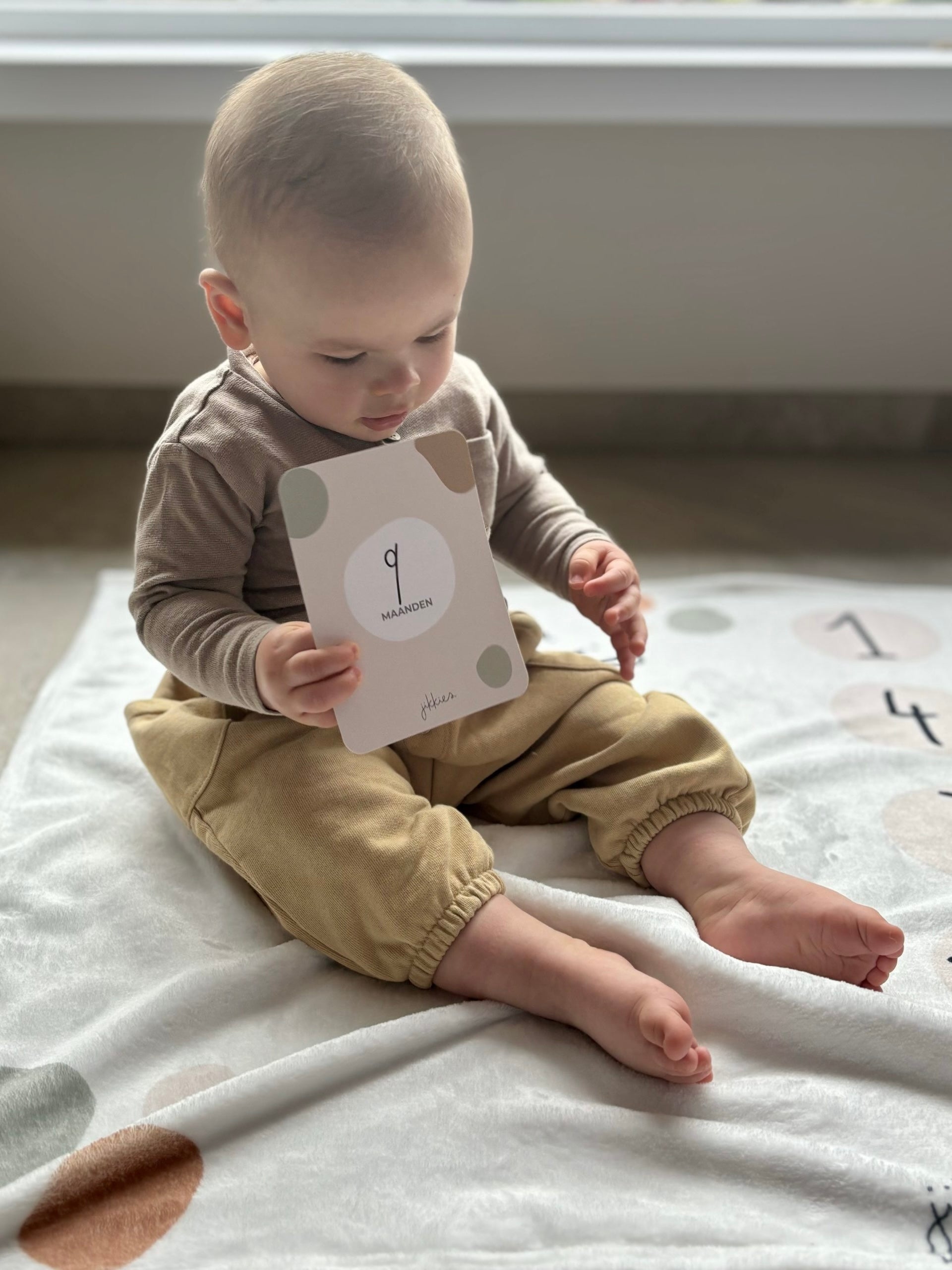 Mijlpaalkaarten voor baby van het merk Jikkies